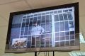 Четыре года строгого режима: осуждённый за истязание собаки Мии пскович не смог оспорить приговор