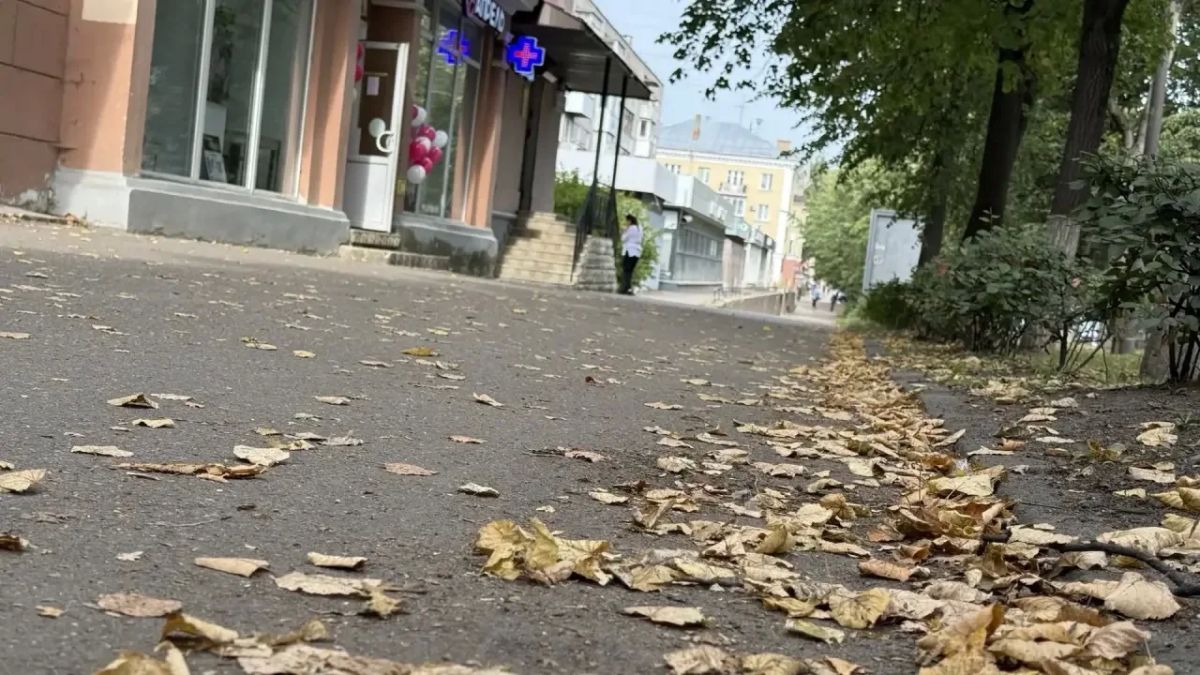 Михаил Ведерников: Неприятный осадок, причём и в буквальном смысле тоже, остался после поездки в Великие Луки Михаил Ведерников: Неприятный осадок, причём и в буквальном смысле тоже, остался после поездки в Великие Луки