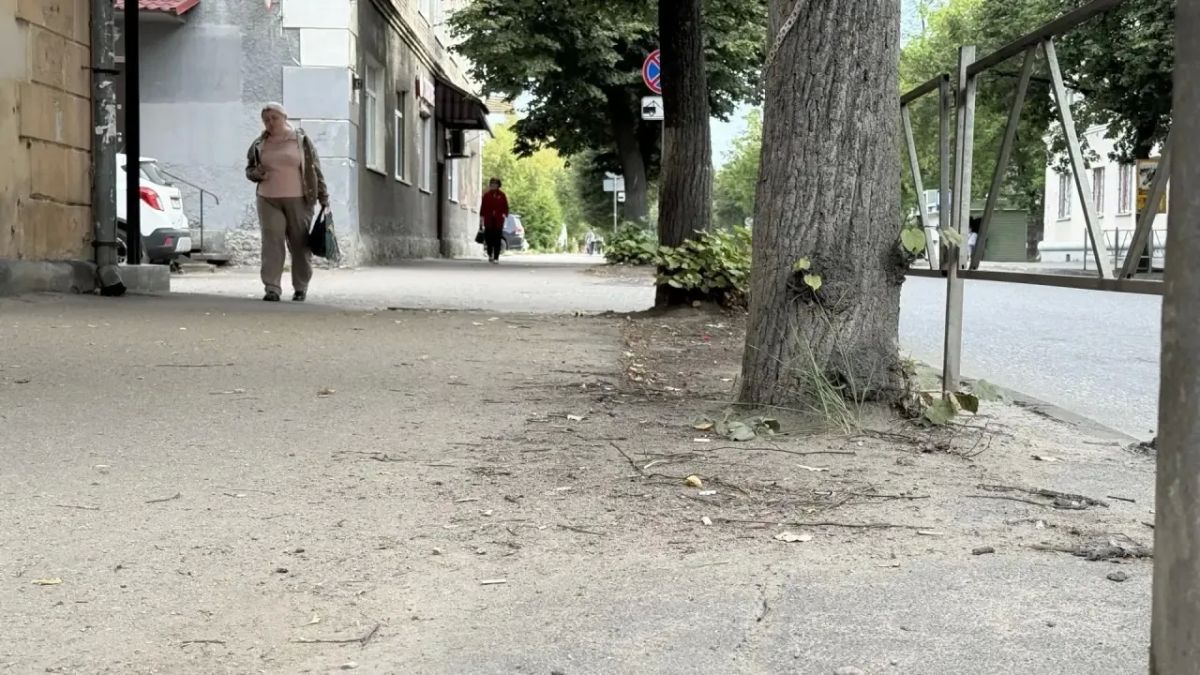 Михаил Ведерников: Неприятный осадок, причём и в буквальном смысле тоже, остался после поездки в Великие Луки Михаил Ведерников: Неприятный осадок, причём и в буквальном смысле тоже, остался после поездки в Великие Луки