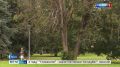 ����������� ������ ������� �� �������������� ��������: ����� ������ � ���������� � ������