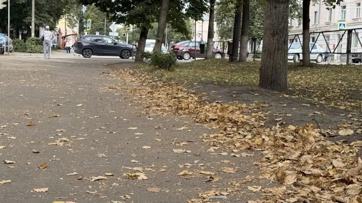 Михаил Ведерников: Неприятный осадок, причём и в буквальном смысле тоже, остался после поездки в Великие Луки Михаил Ведерников: Неприятный осадок, причём и в буквальном смысле тоже, остался после поездки в Великие Луки