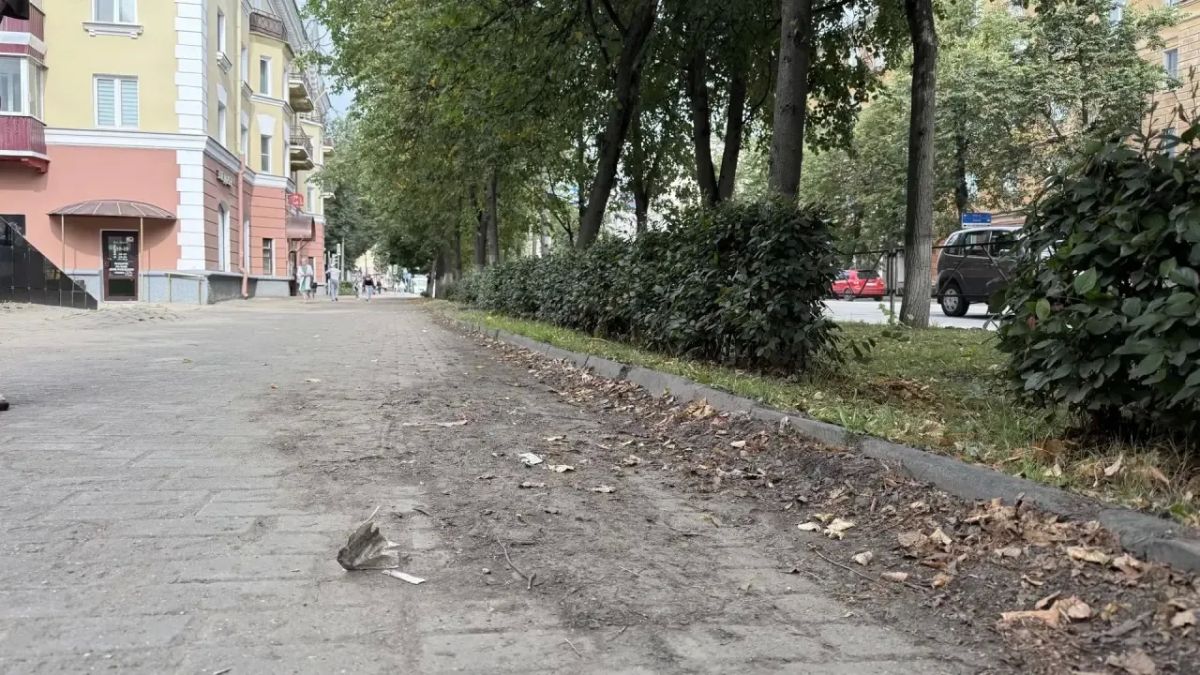 Михаил Ведерников: Неприятный осадок, причём и в буквальном смысле тоже, остался после поездки в Великие Луки Михаил Ведерников: Неприятный осадок, причём и в буквальном смысле тоже, остался после поездки в Великие Луки