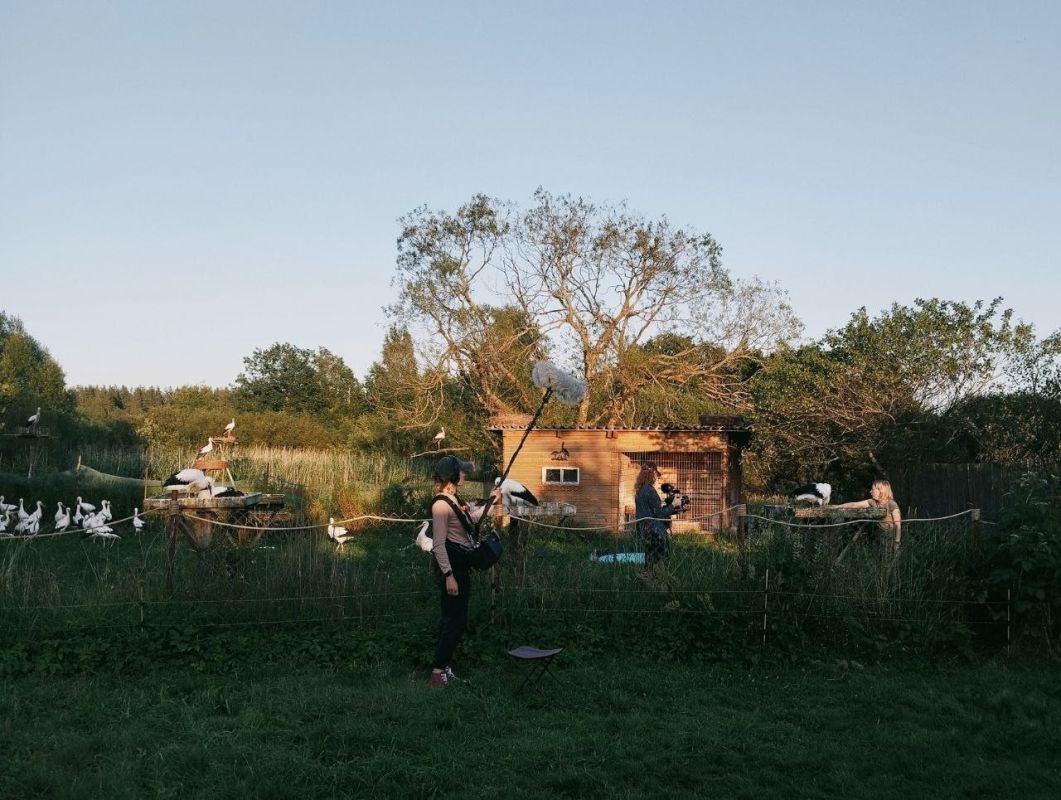 В Псковской области проходили съёмки документального фильма про центр помощи птицам «Дом белого аиста» в деревне Низовицы Гдовского района В Псковской области проходили съёмки документального фильма про центр помощи птицам «Дом белого аиста» в деревне Низовицы Гдовского района