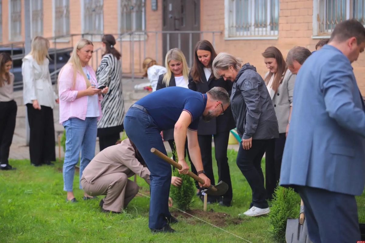 Туи высадили в честь 25-летия мировой юстиции Псковской области Туи высадили в честь 25-летия мировой юстиции Псковской области