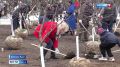 860 лет истории, подвигов и возрождения: чем гордятся жители Великих Лук?