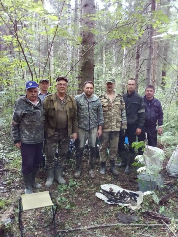 В Дно поисковики обнаружили место падения самолёта Ил4, разбившегося в 1942 году В Дно поисковики обнаружили место падения самолёта Ил4, разбившегося в 1942 году