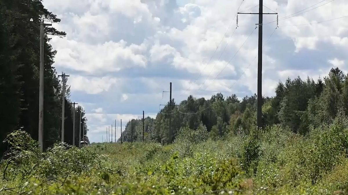 Энергетики устраняют последствия непогоды в Псковской области Энергетики устраняют последствия непогоды в Псковской области