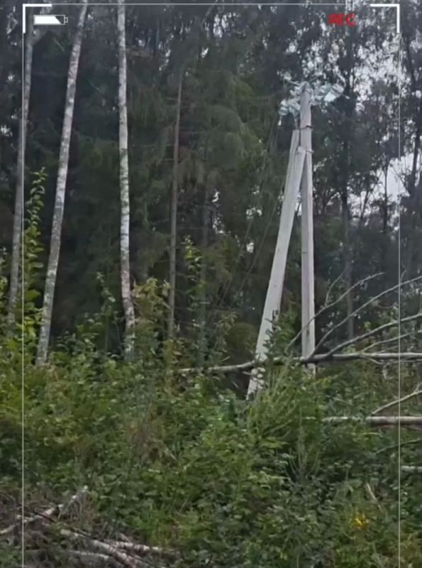 Число бригад для ликвидации последствий циклона в Псковской области выросло до 96