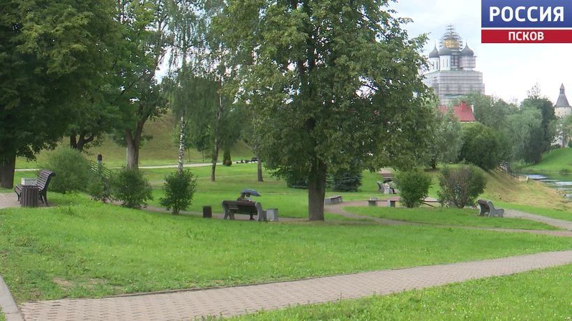 До 17 градусов и дожди. Синоптики рассказали о погоде на предпоследней неделе лета