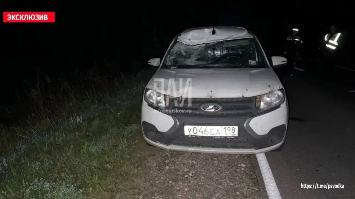 В Порховском районе, на 23-м километре трассы Лудони — Павы — Боровичи, произошло столкновение автомобиля Lada Largus с велосипедистом В Порховском районе, на 23-м километре трассы Лудони — Павы — Боровичи, произошло столкновение автомобиля Lada Largus с велосипедистом