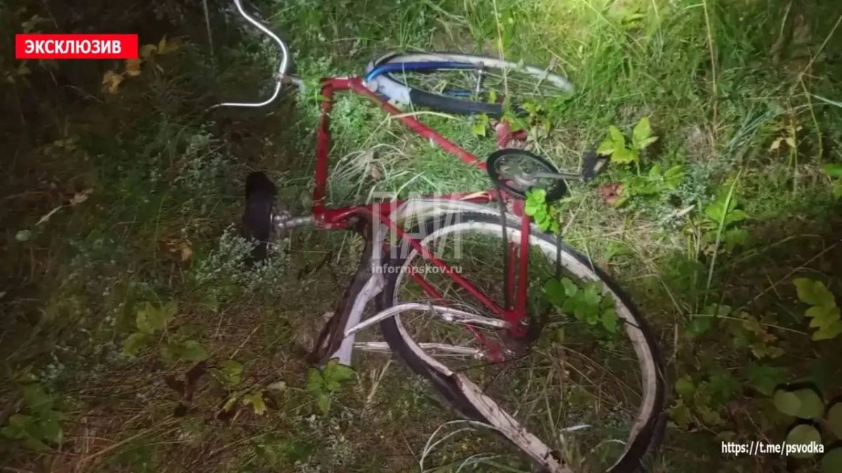 В Порховском районе, на 23-м километре трассы Лудони — Павы — Боровичи, произошло столкновение автомобиля Lada Largus с велосипедистом В Порховском районе, на 23-м километре трассы Лудони — Павы — Боровичи, произошло столкновение автомобиля Lada Largus с велосипедистом