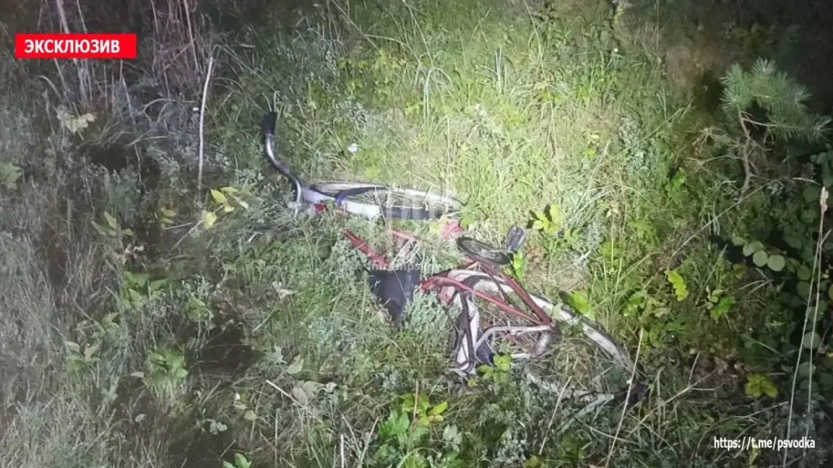 В Порховском районе, на 23-м километре трассы Лудони — Павы — Боровичи, произошло столкновение автомобиля Lada Largus с велосипедистом В Порховском районе, на 23-м километре трассы Лудони — Павы — Боровичи, произошло столкновение автомобиля Lada Largus с велосипедистом