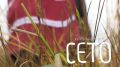 Королевство сето. Эфир 29.08.2019