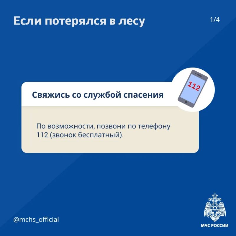 Советы от МЧС России для безопасного похода в лес Советы от МЧС России для безопасного похода в лес