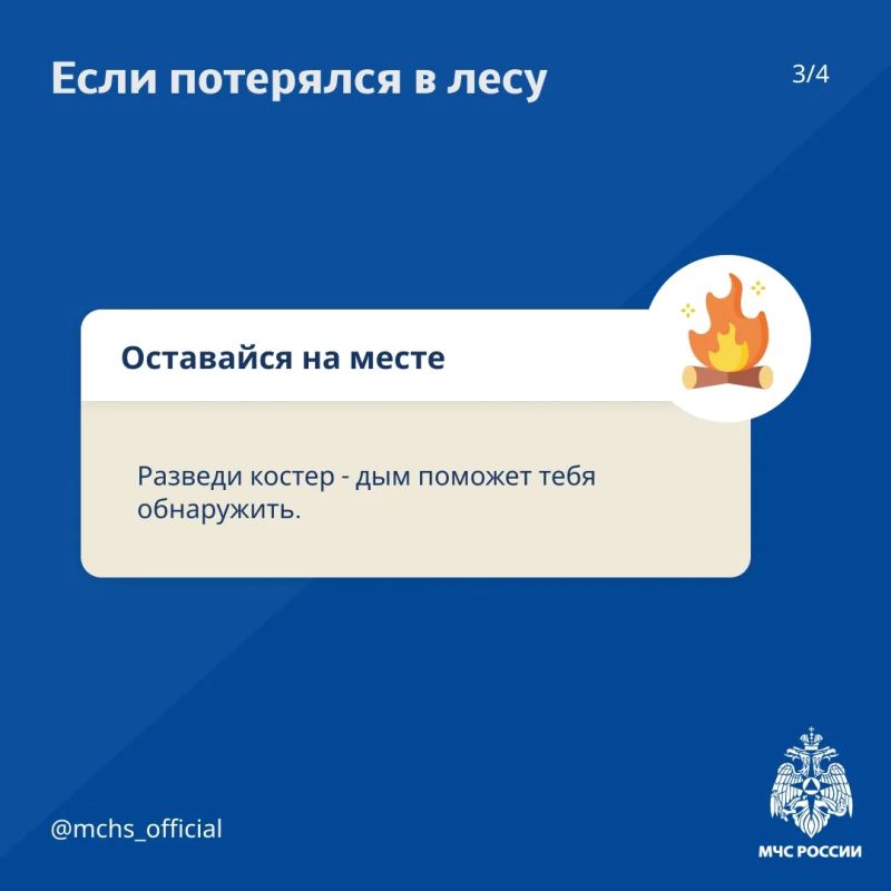 Советы от МЧС России для безопасного похода в лес Советы от МЧС России для безопасного похода в лес