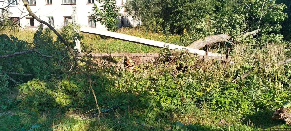 В Островском районе после шторма восстановили основные линии, в Пыталовском — ещё 30 деревень без света В Островском районе после шторма восстановили основные линии, в Пыталовском — ещё 30 деревень без света