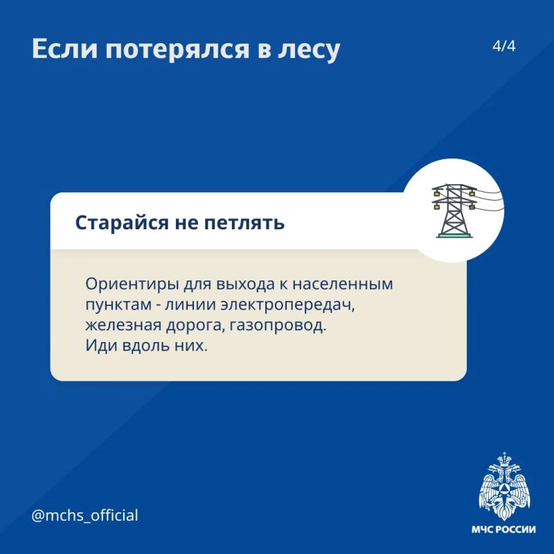 Советы от МЧС России для безопасного похода в лес Советы от МЧС России для безопасного похода в лес