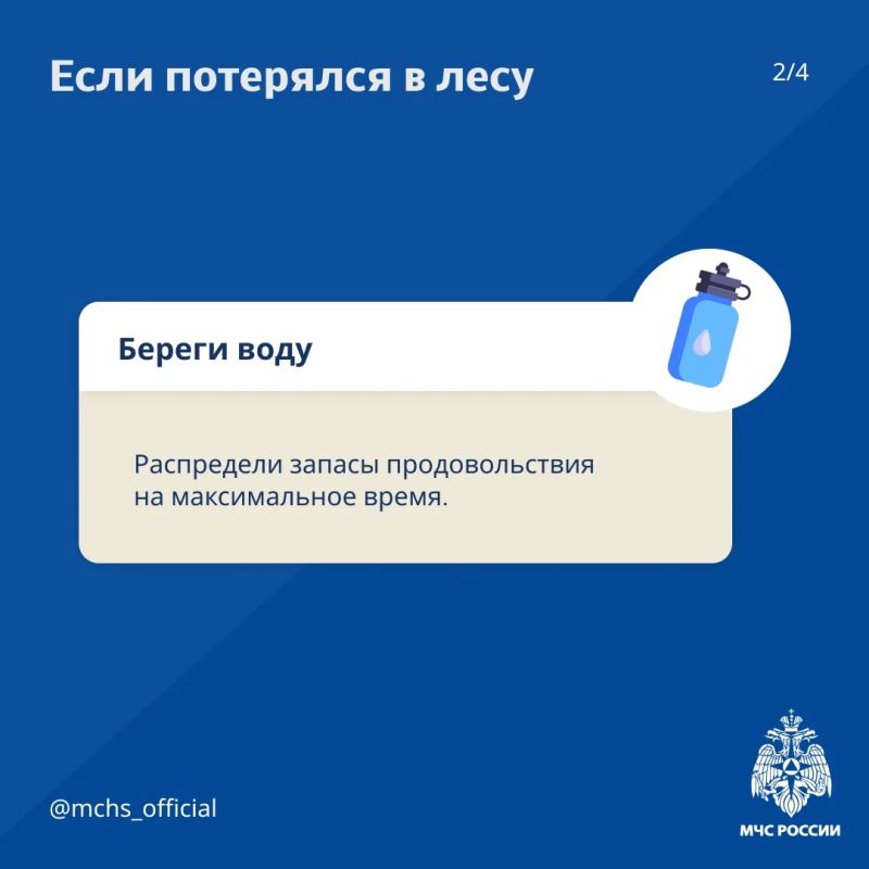 Советы от МЧС России для безопасного похода в лес Советы от МЧС России для безопасного похода в лес