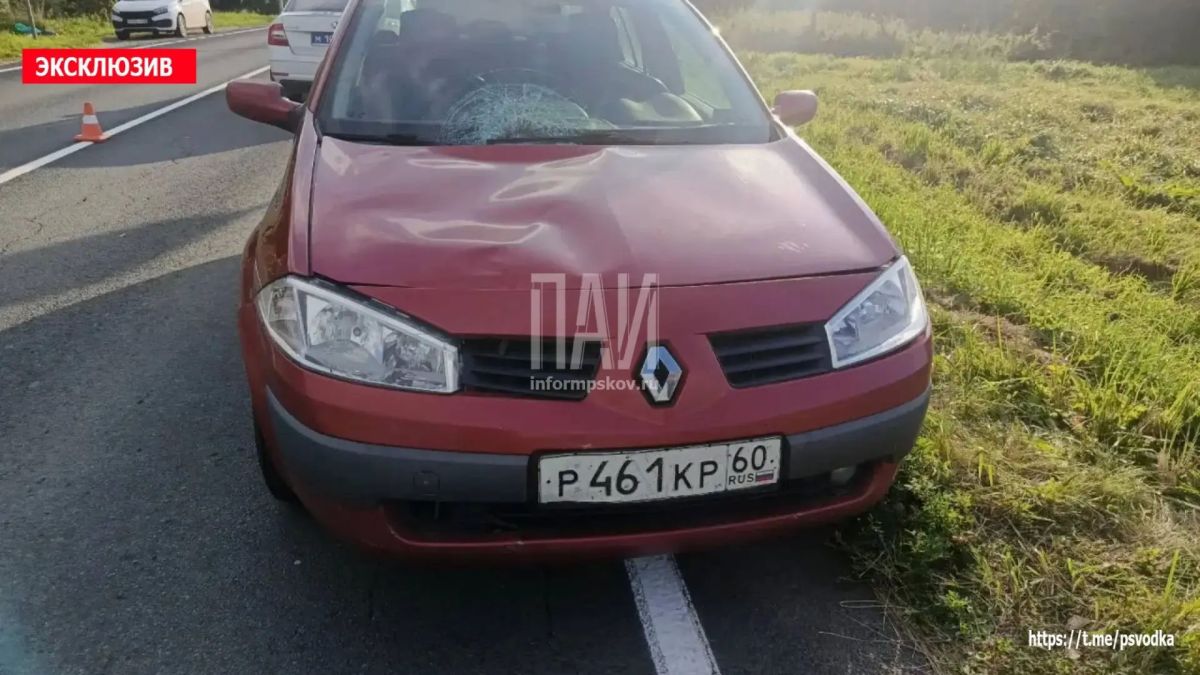 В деревне Луг Порховского района водитель автомобиля Renault Megane сбил 19-летнюю девушку, которая перебегала дорогу В деревне Луг Порховского района водитель автомобиля Renault Megane сбил 19-летнюю девушку, которая перебегала дорогу