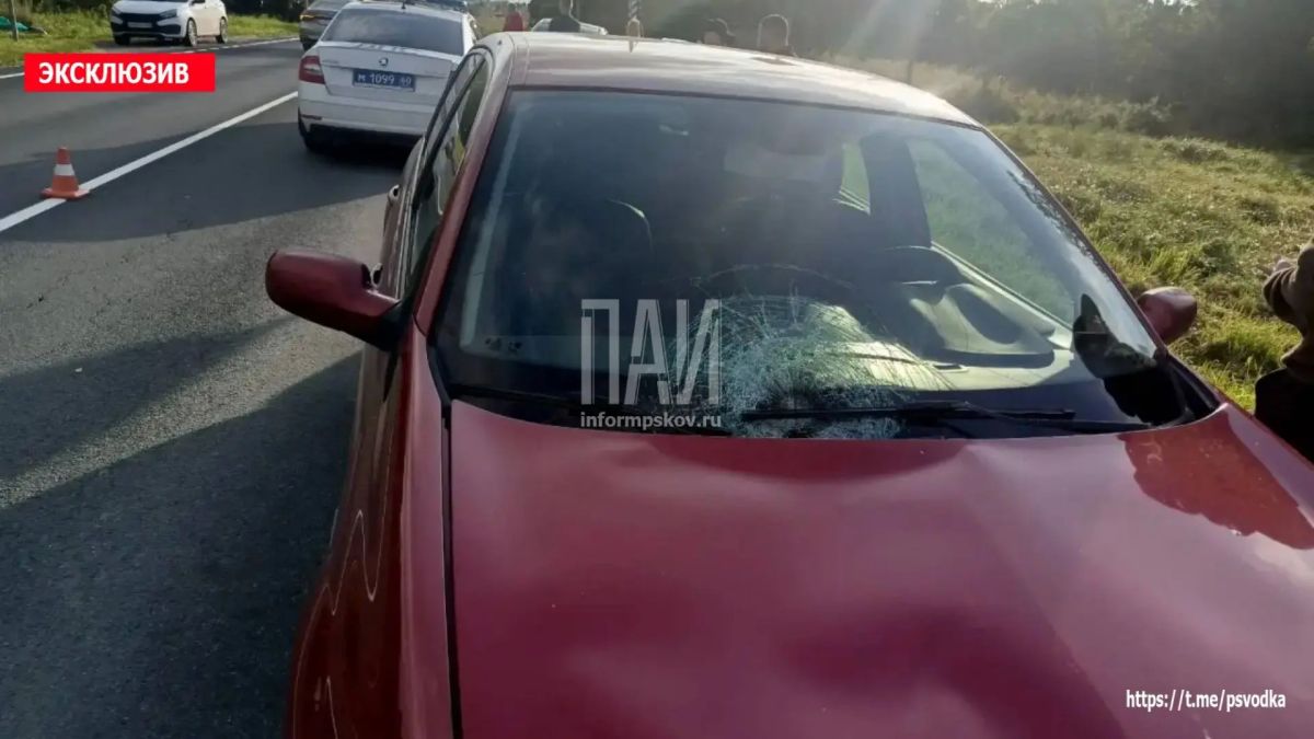 В деревне Луг Порховского района водитель автомобиля Renault Megane сбил 19-летнюю девушку, которая перебегала дорогу В деревне Луг Порховского района водитель автомобиля Renault Megane сбил 19-летнюю девушку, которая перебегала дорогу