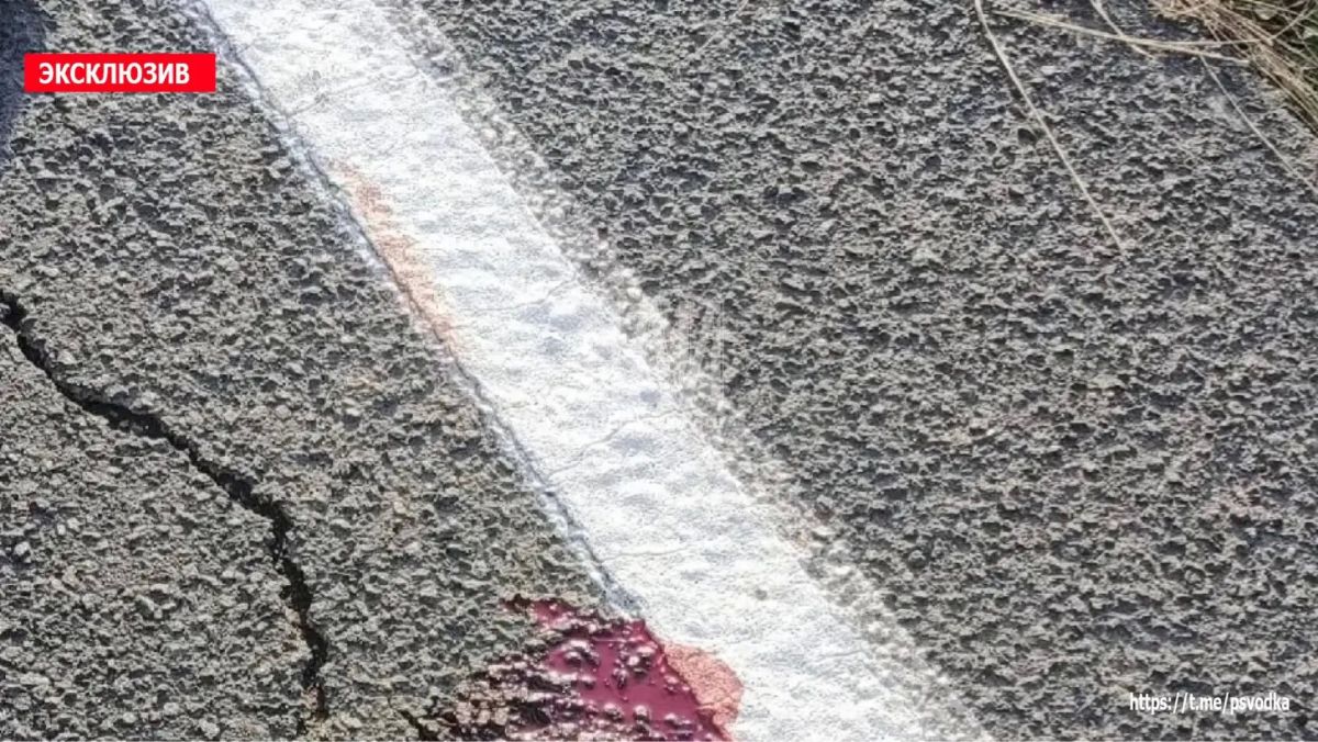 В деревне Луг Порховского района водитель автомобиля Renault Megane сбил 19-летнюю девушку, которая перебегала дорогу В деревне Луг Порховского района водитель автомобиля Renault Megane сбил 19-летнюю девушку, которая перебегала дорогу