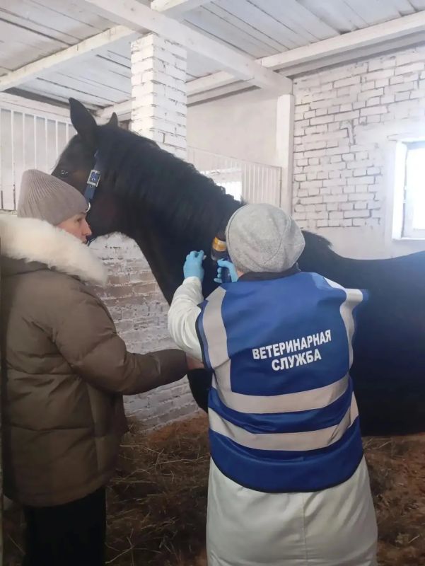 Михаил Ведерников: 31 августа свой профессиональный праздник отмечают работники ветеринарной службы Михаил Ведерников: 31 августа свой профессиональный праздник отмечают работники ветеринарной службы