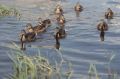 Доброе утро, Псков и Псковская область!