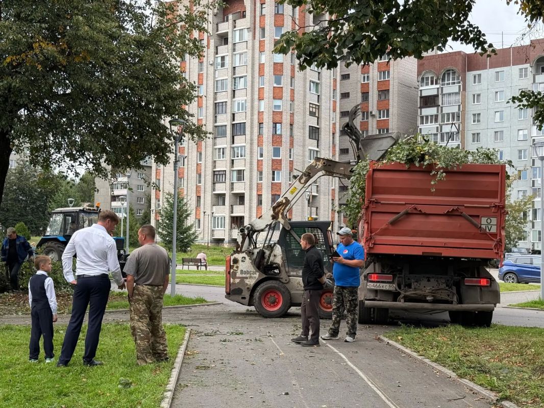 В сквере у Рижской гостиницы провели санитарную обрезку деревьев В сквере у Рижской гостиницы провели санитарную обрезку деревьев