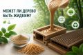 Может ли дерево быть жидким?