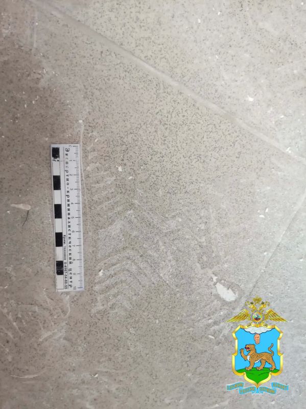 Великолукские полицейские раскрыли кражу имущества из здания бывшего кинотеатра Великолукские полицейские раскрыли кражу имущества из здания бывшего кинотеатра