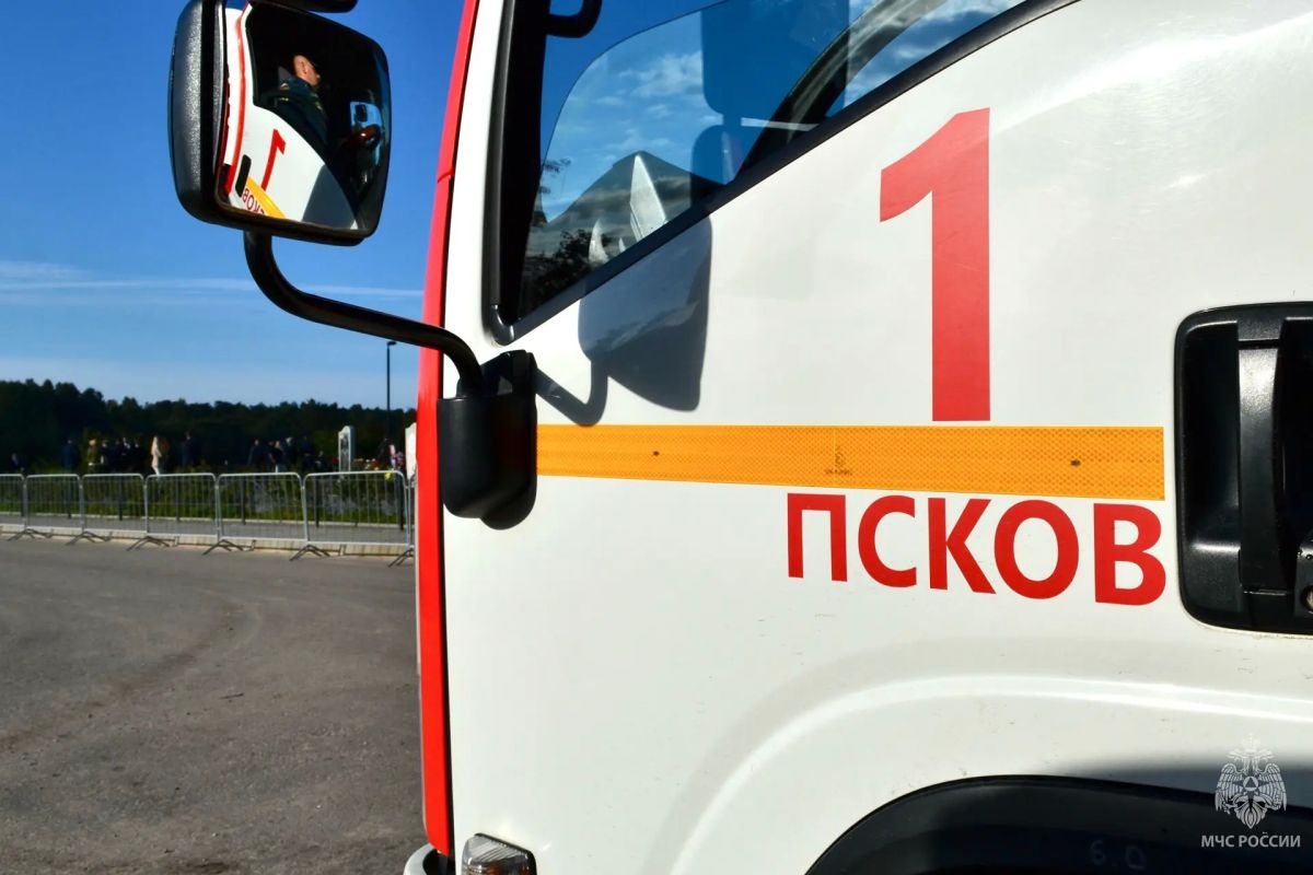 Сотрудники МЧС России обеспечили безопасность памятной церемонии Сотрудники МЧС России обеспечили безопасность памятной церемонии