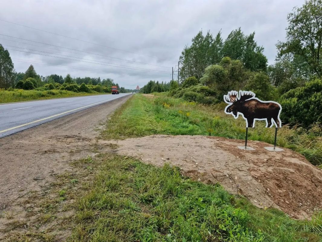 В Пскове на Северном обходе появились новые "жители"! В Пскове на Северном обходе появились новые "жители"!