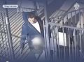 В Тюмени задержан пскович, напавший на детей