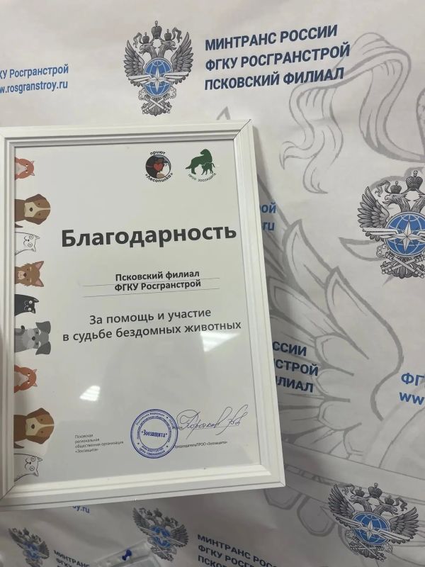 Работники Псковского филиала ФГКУ Росгранстрой оказали помощь приюту для бездомных животных Работники Псковского филиала ФГКУ Росгранстрой оказали помощь приюту для бездомных животных
