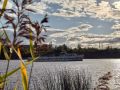 Доброе утро, скобари. За минувшие дежурные сутки в Псковской области не зафиксировано ни одного пожара