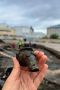 Носик водолея и тайны старого рынка: что нашли археологи на месте старого рынка в Пскове