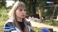 В Локне установили личности подростков, разгромивших зону отдыха