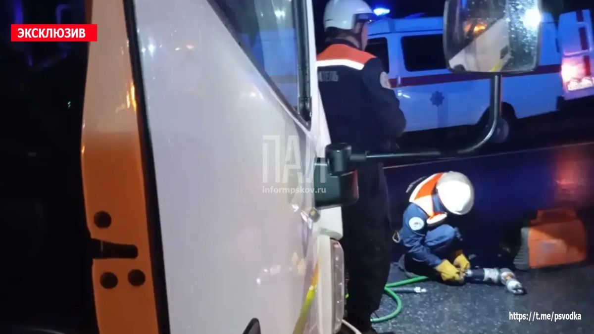 В Псковском районе, в деревне Подборовье на 15-м километре в сторону Санкт-Петербурга, водитель грузового автомобиля совершил наезд на лося