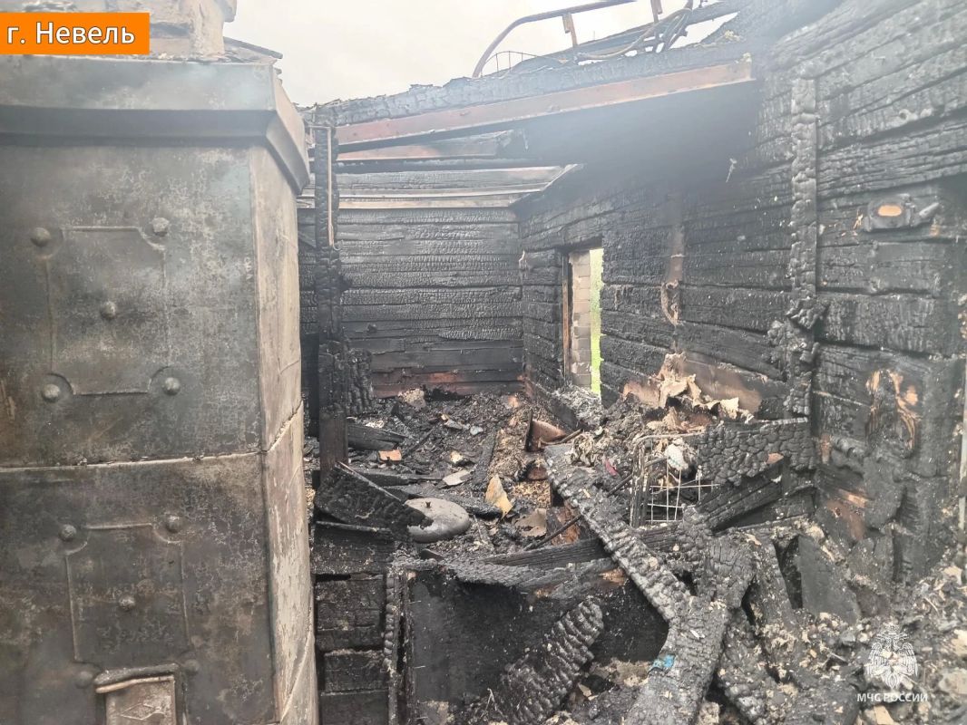 Два пожара за сутки: в Дно погиб мужчина Два пожара за сутки: в Дно погиб мужчина
