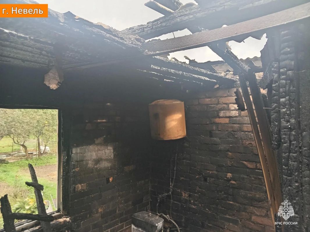 Два пожара за сутки: в Дно погиб мужчина Два пожара за сутки: в Дно погиб мужчина
