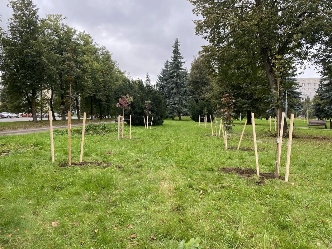Елкин Борис: Подолжаем зелёное преображение городских пространств Елкин Борис: Подолжаем зелёное преображение городских пространств