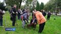 Театр начинается с вешалки, а новая жизнь — с дерева
