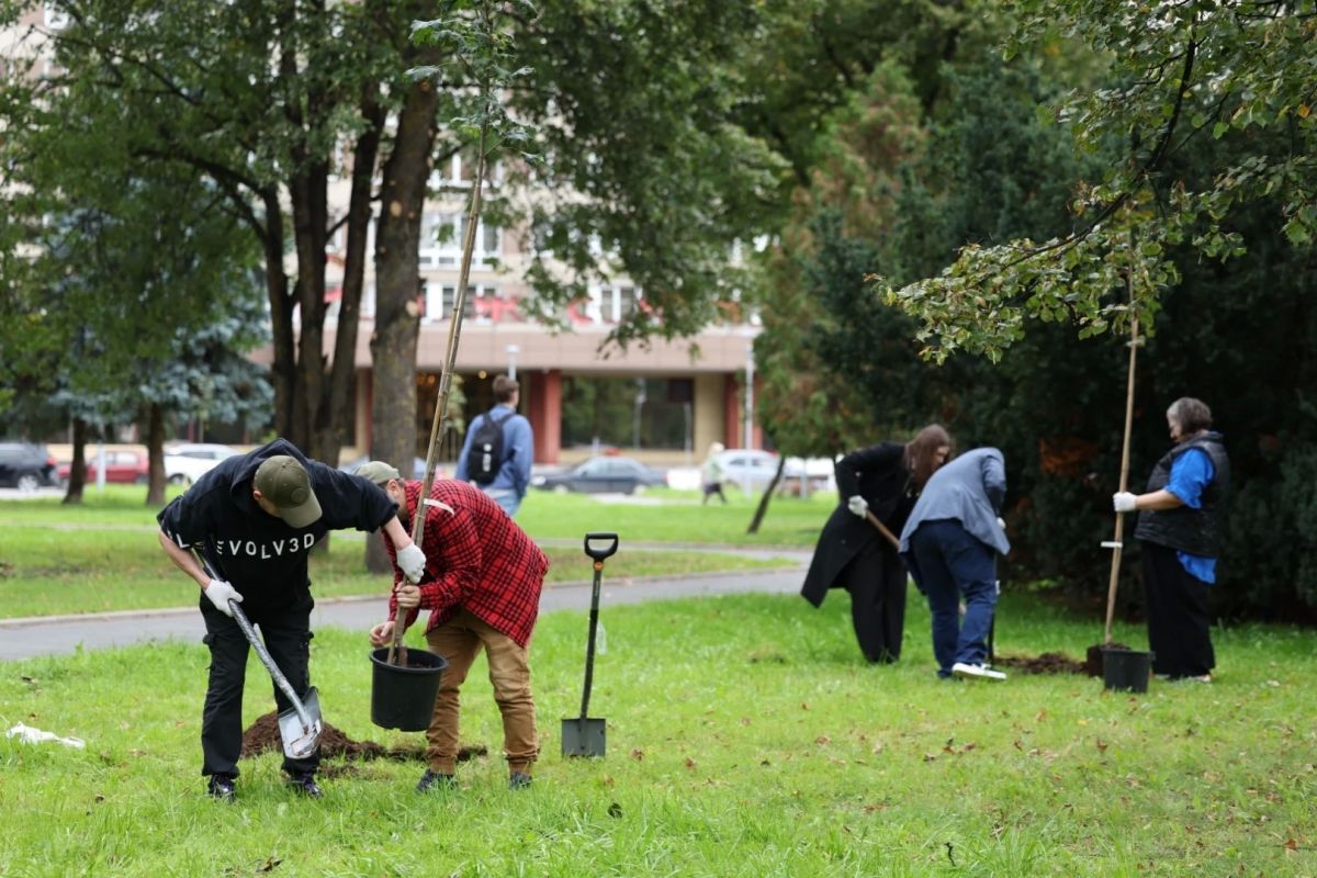 В Пскове высадили аллею к 150-летию Союза театральных деятелей В Пскове высадили аллею к 150-летию Союза театральных деятелей