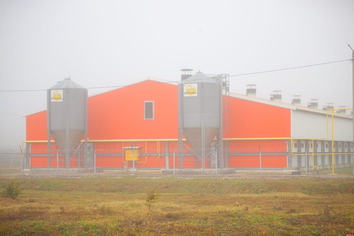 Межпоселковый газопровод ввели в эксплуатацию в Куньинском округе Межпоселковый газопровод ввели в эксплуатацию в Куньинском округе