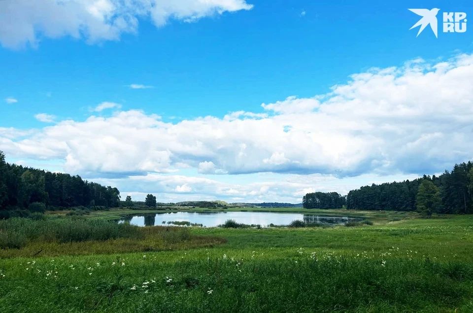 Исповедь “последнего фермера”: как спасти русское село Исповедь “последнего фермера”: как спасти русское село