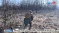 В Пскове вручили первые медали "Отец солдата": награды получили отцы героев СВО