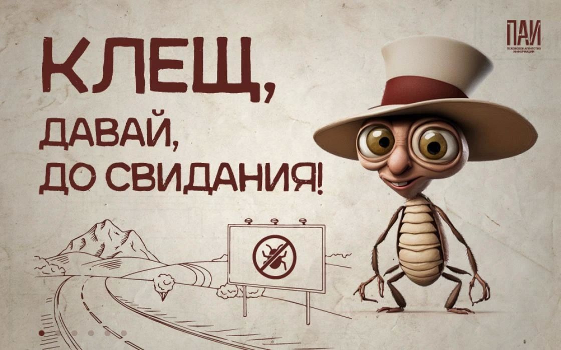 Клещи в Псковской области в этом году менее активны