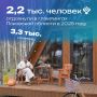 Комфорт отеля посреди леса: аналитики Псковстата подсчитали популярность псковских глэмпингов