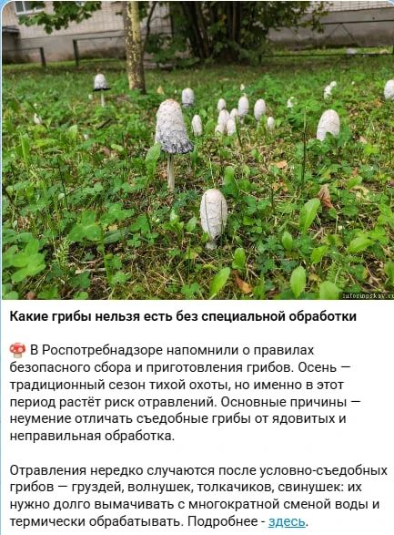 Пока все обсуждают грядущие кадровые тектонические сдвиги в псковской политике, гадают о новой структуре Законодательного Собрания и замерли в ожидании имени нового главы Пскова, у наших коллег из госмедиахолдинга своя... Пока все обсуждают грядущие кадровые тектонические сдвиги в псковской политике, гадают о новой структуре Законодательного Собрания и замерли в ожидании имени нового главы Пскова, у наших коллег из госмедиахолдинга своя...