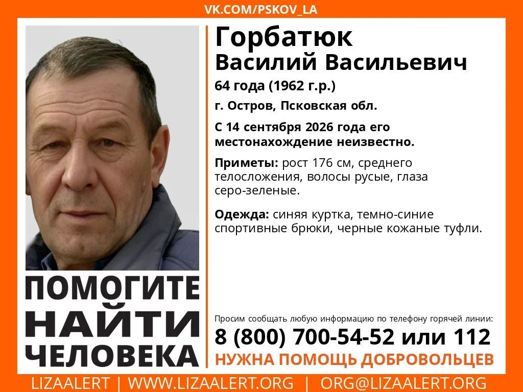 В Острове пропал 64-летний мужчина